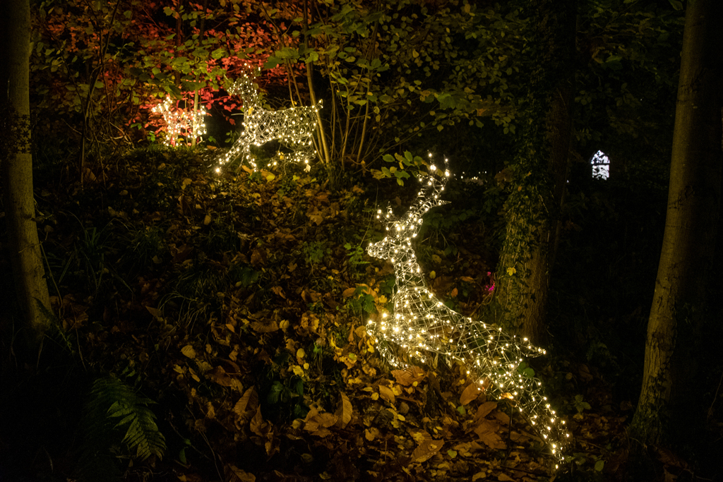 Christmas Light Deers