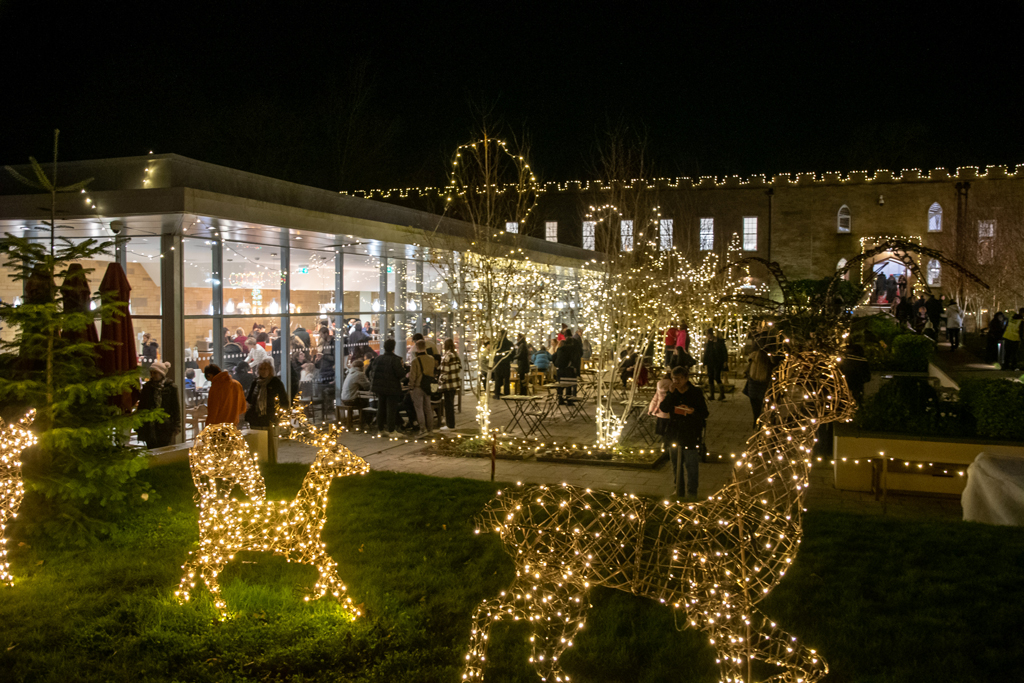 Christmas Light Deers