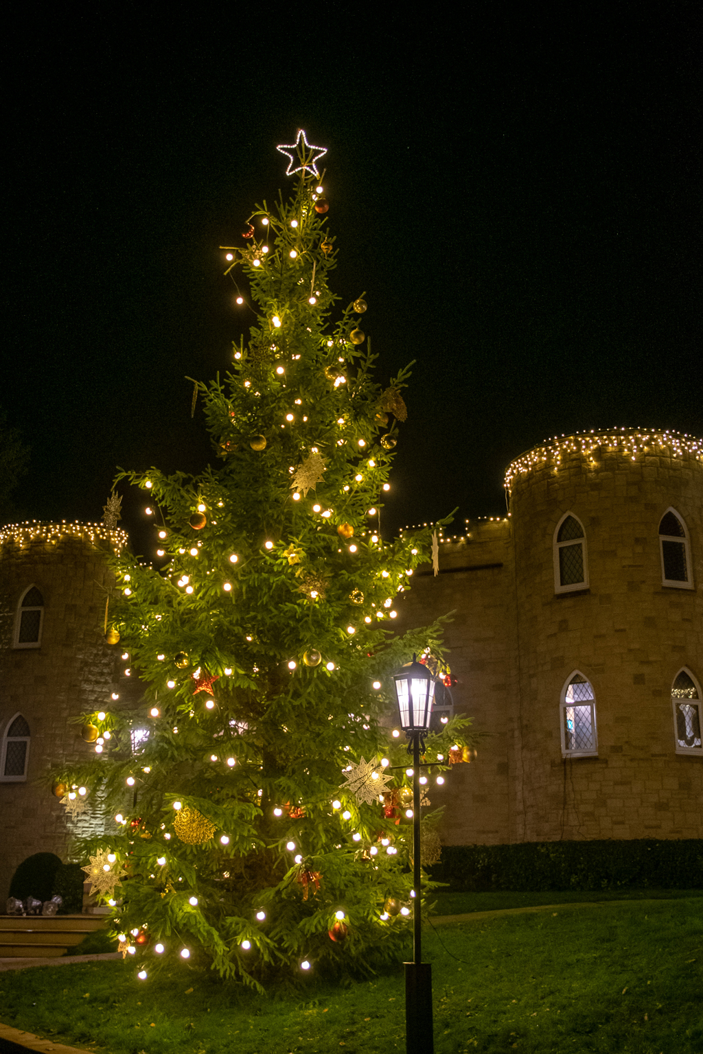 Large decorated Christmas Tree